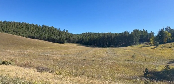 Field parking area